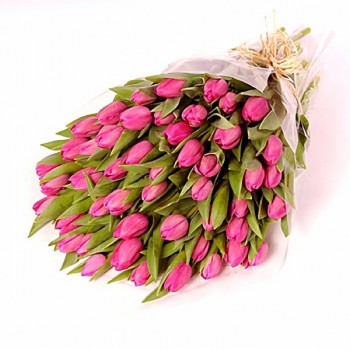 Букет из розовых тюльпанов "Нежный румянец"